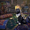 Elder Scrolls Online